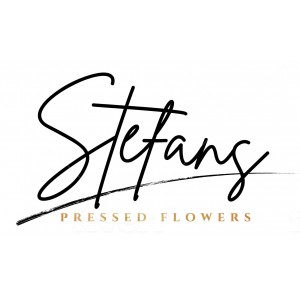 STEFANS PRESSED FLOWERS